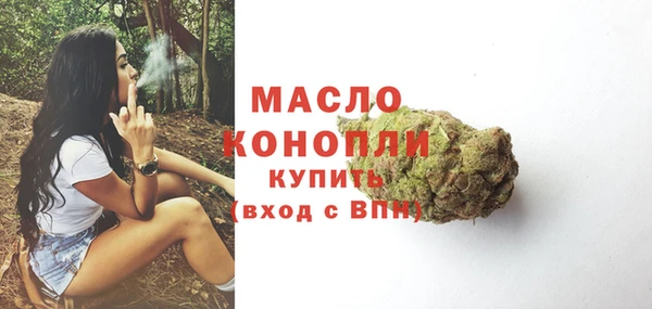 прущий лед Бородино