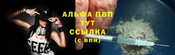 прущий лед Бородино