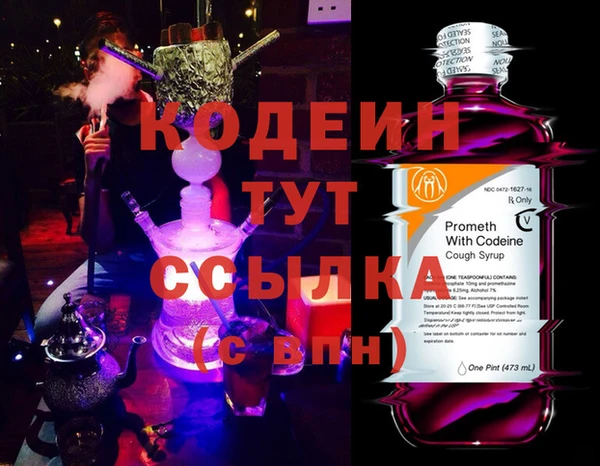 прущий лед Бородино