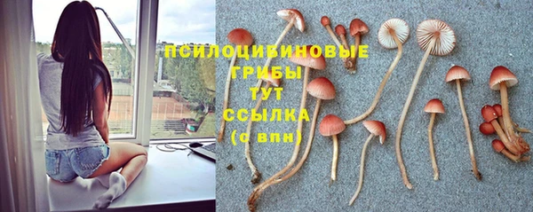 прущий лед Бородино
