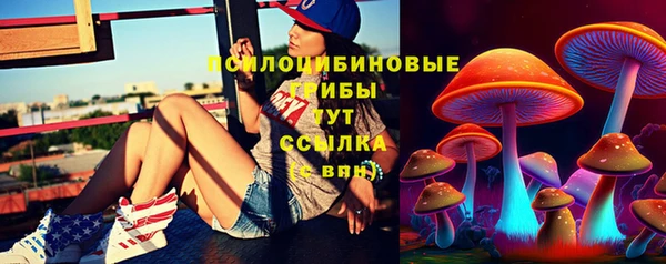 прущий лед Бородино