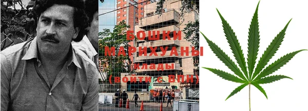 прущий лед Бородино
