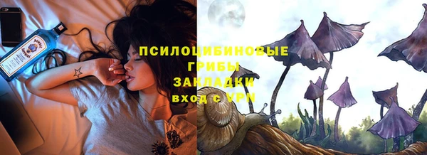 прущий лед Бородино