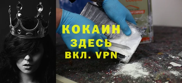прущий лед Бородино