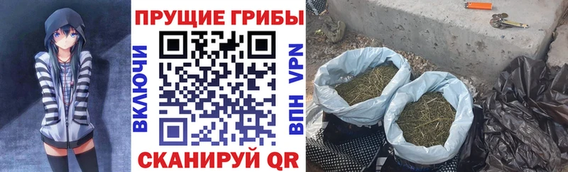 Галлюциногенные грибы MAGIC MUSHROOMS Чердынь